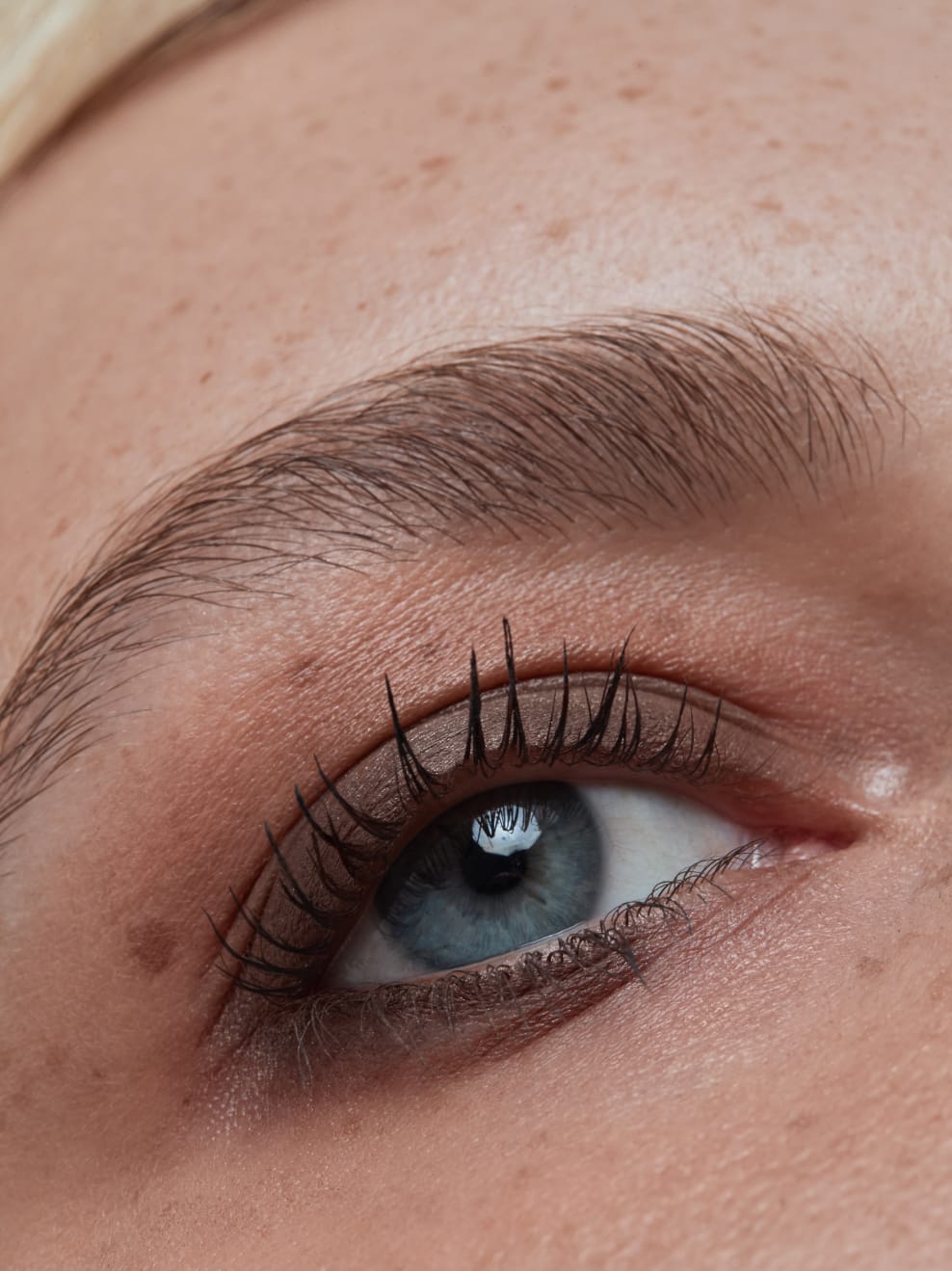 und-gretel-imbe-eye-shadow-seidiger-lidschatten-vegan image 3